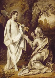 Noli skal gennemsyrer